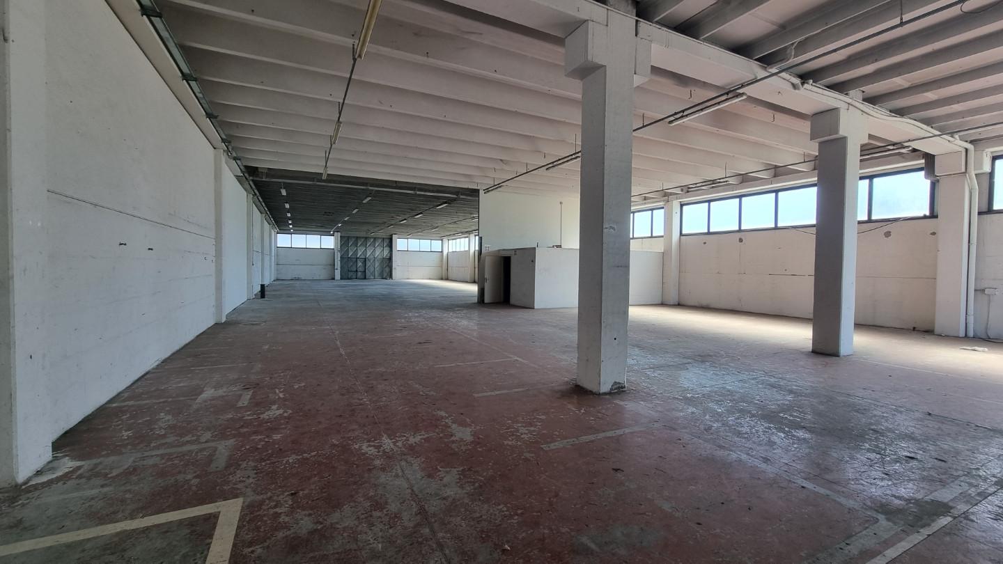 Capannone commerciale in affitto a Pontedera